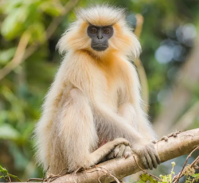 bHUTAN IMAGES EN-02