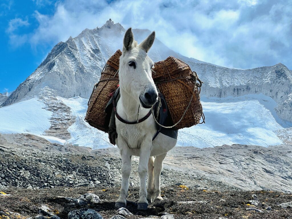 Eco-tourism in Bhutan