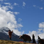 bhutan travel service